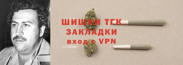 стаф Зеленокумск
