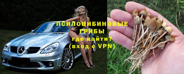 стаф Зеленокумск