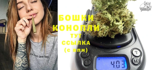 стаф Зеленокумск