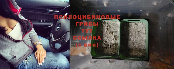 стаф Зеленокумск