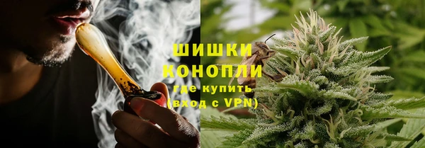 стаф Зеленокумск