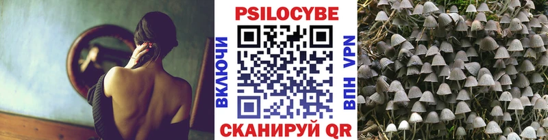 Псилоцибиновые грибы мицелий  Купить  Зеленогорск 